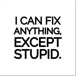 I can fix anything, except stupid. Posters and Art